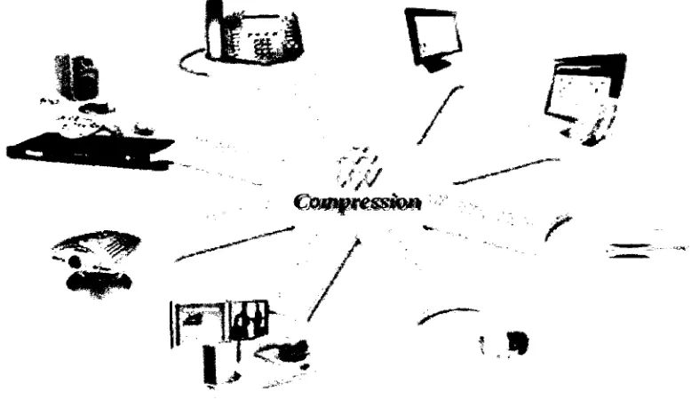 Figure 1.1: Multimedia systems. 