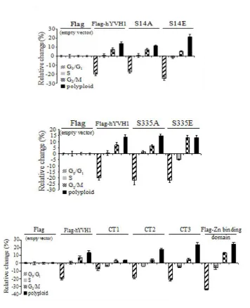 Figure 1.5:  Summary of Effect of hYVH1 Mutants on Cell Cycle.  Overexpression of hYVH1 in HeLa cells causes a decreased number of cells in G0/G1 and an increase of cells in G2/M and polyploid cells compared to empty vector, as determined by flow cytometry