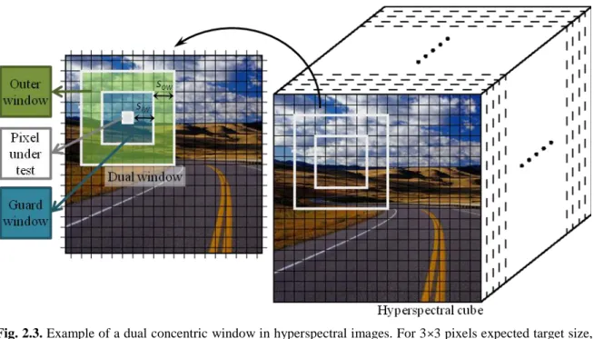 Fig. 2.3. Example of a dual concentric window in hyperspectral images. For 33 pixels expected target size,  the  inner  window  should  be  at  least  55  pixels  in  order  to  not  include  target  pixels  in  background  PDF  estimation windows