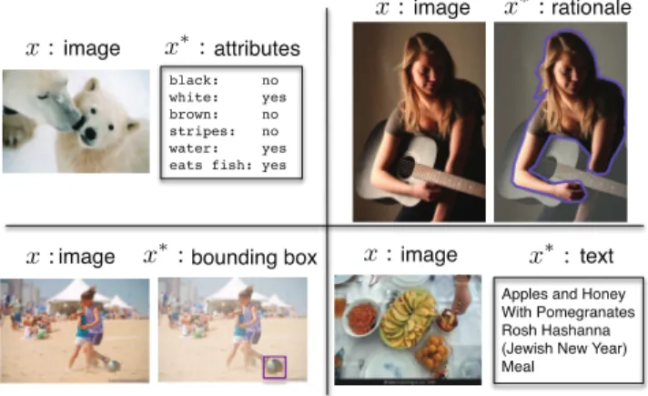 Figure 1: Four different forms of privileged information that can help learning better object recognition systems: attributes,  anno-tator rationales, object bounding boxes, and textual descriptions.