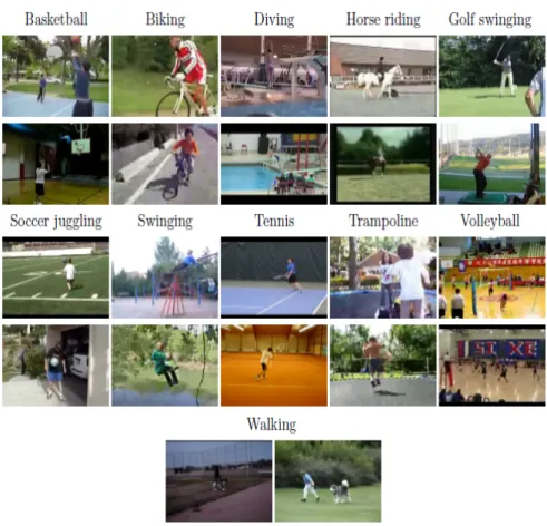 Figure 2.11: Sample frames from the YouTube action dataset [51]