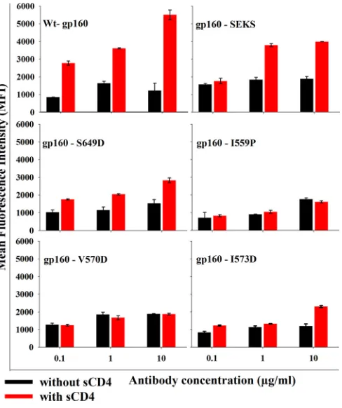 FIG 5 6-HBD mutations prevent sCD4-induced shedding of gp120 and di-minish the accessibility of the gp41 cluster I epitope while retaining gp120-gp41 interactions