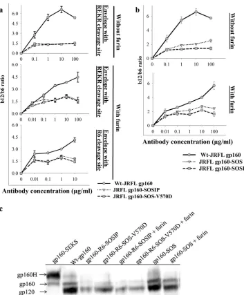 FIG 6 Engineered disulﬁde bonds between gp120 and gp41 perturb the native conformation of JRFL Env