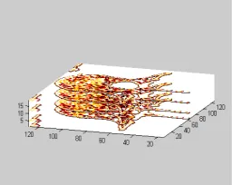 Figure 7: 3-D contour slice 