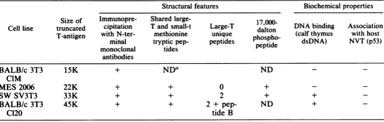 TABLE 1. Structural features and biochemical properties of the four truncated large-T polypeptides properties