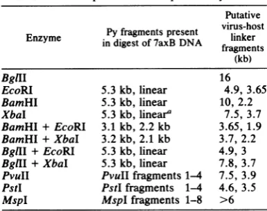 TABLE 1. Summary of Southern blot data derivedfrom analysis of 7axB cell DNA with the enzymesindicated and a probe of virion-purified Py DNA