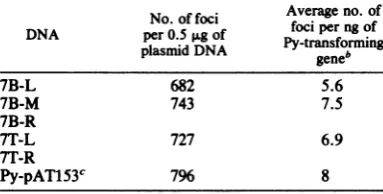 FIG. 8.indicateNumbers The virus-host joins at either end of the Py sequences in 7axB and 7axT cells, respectively