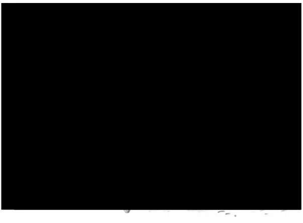 Figure 2.2: Typical chinese top. Credits to [13].
