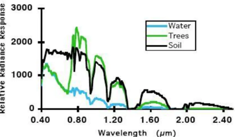 Figure 2:  Spectral Space Plot (Landgrebe, 2003) 