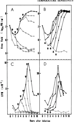 FIG. 1.varioustemperaturecells)indicatedcollectedweredescribed33'C;synthesissolubilized Effect of temperature shift on viral growth and viral RNA synthesis