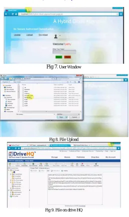Fig 7. User Window  