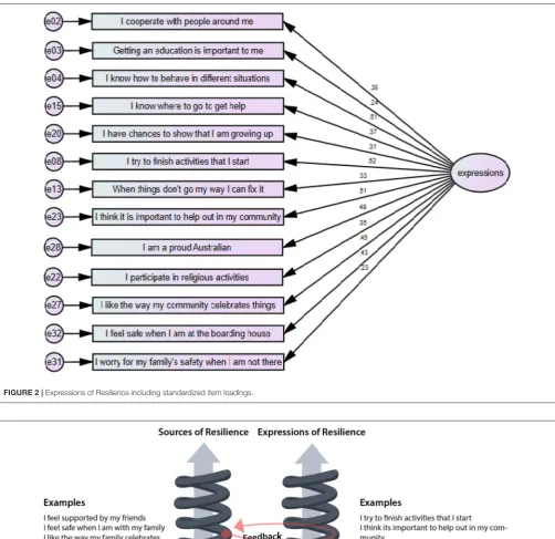 FIGURE 2 | Expressions of Resilience including standardized item loadings.