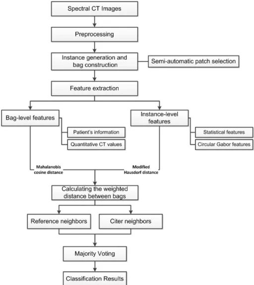 Fig. 1. The flowchart of the multiple instance learning based CAD system