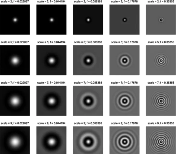 Fig. 5. The 2-D views of the real part of the circular Gabor filter bank at 4 scales, 5 frequencies.