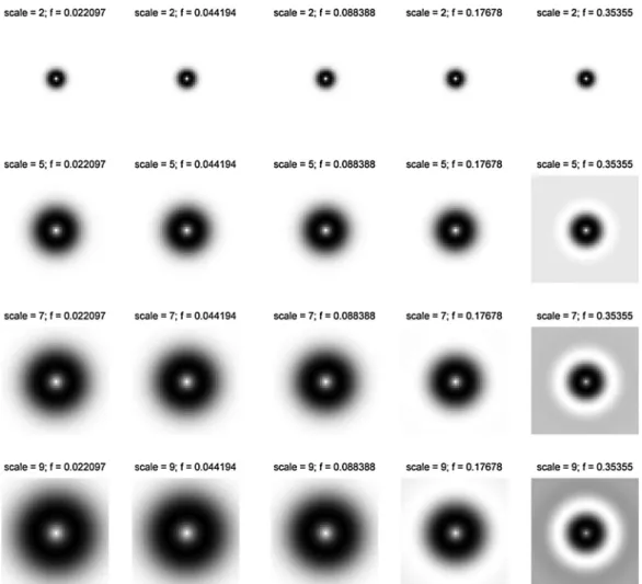 Fig. 6. The 2-D views of imaginary part of the circular Gabor filter bank at 4 scales, 5 frequencies.