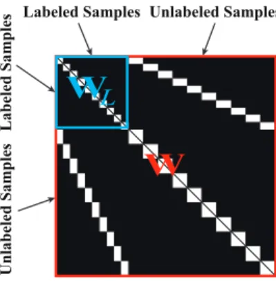 Figure 2: A showcase for joint adjacency matrix (W) (in red), where W L (in blue) is a LDA-like graph constructed by labels.
