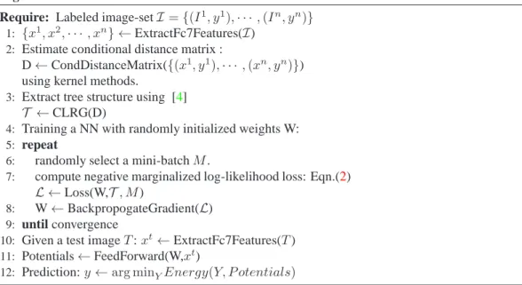 Figure 1: Our Model takes input as fc7 features and generates node potentials at the output layer of a given neural network