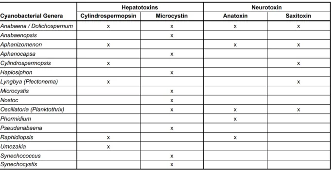 Table 2.1: The State of Ohio presents the common algae which are known to produce different toxins [10]