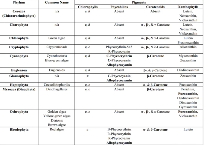 Table 3.1: Different phlya of algae contain different pigments within their structure