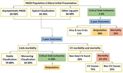 Figure 1.1: Flow Diagram of clinical progression of peripheral arterial occlusive disease 