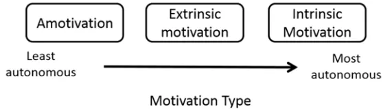Figure 3-1 Diagrammatic representation of motivation types as described by Self-Determination Theory