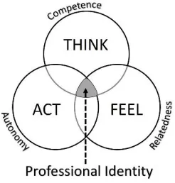 Figure 3-2 Conceptualisation of the role of self-determination theory nutriments in the development of professional identity