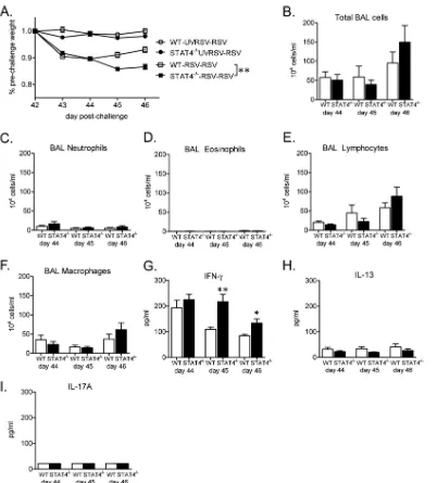 FIG 11 STAT4 deﬁciency enhances RSV-induced weight loss and lung IFN-of lymphocytes (B), neutrophils (C), eosinophils (D), lymphocytes (E), and macrophages (F) in BAL ﬂuid are shown