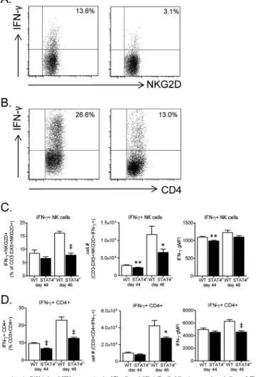 FIG 12 STAT4 deﬁciency impairs RSV-induced IFN-� expression by NK cells and CD4� T cells following secondary challenge