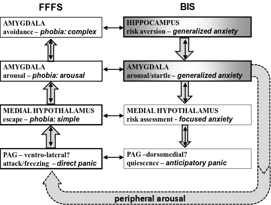 Figure 2. Upper levels of the BIS (top right), show abnormal spontaneous activity (or hyper-reactivity) of the 