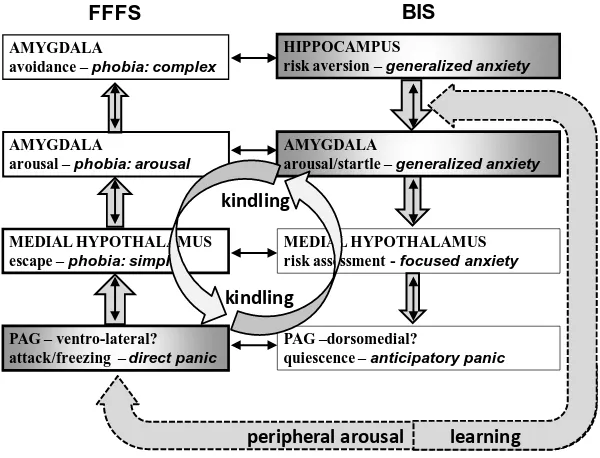 Figure 4: Syndromal comorbidity and positive feedback between anxiety and panic. Abbreviations and 