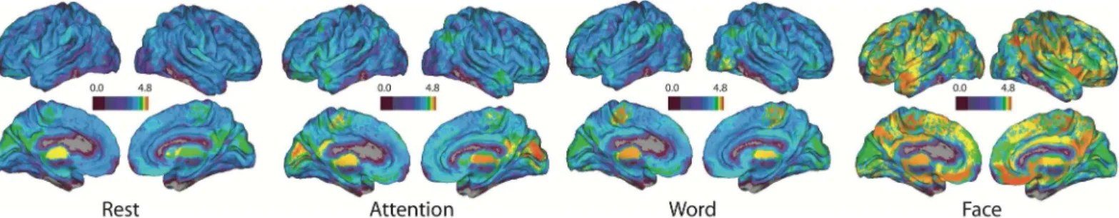 Fig 4. Node degree spatial distribution. Here, the average hyperedge node degree, or number of hyperedges that include each node over all individuals in the multi-task study is plotted on the brain