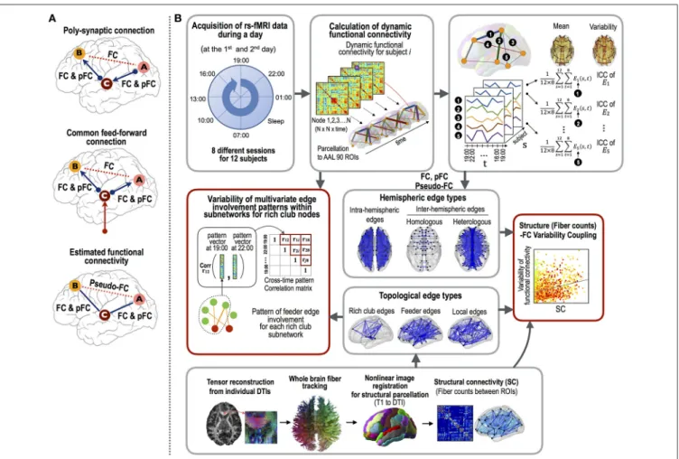 FIGURE 1 | The procedures employed for the functional connectivity variability analysis.(A) The three types of functional connectivity: FC, pFC, and pseudo-FC.
