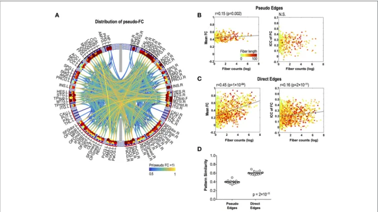 FIGURE 4 | Stability of pseudo-FC. (A) The spatial distribution of pseudo-FC. The relationships between the mean functional connectivity of FC and log-transformed fiber counts (left) and between the stability (ICC) of FC and log-transformed fiber counts (r