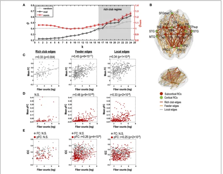 FIGURE 5 | Relationships between stability of functional connectivity and structural connectivity according to topological edge types in rich club organization.