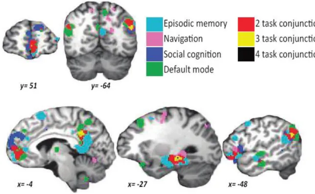 Figure 1.2. Results of Spreng et al. (2009) activation likelihood estimation (ALE) meta-analysis for  each term (episodic memory, navigation, social cognition and default mode) and their conjunction