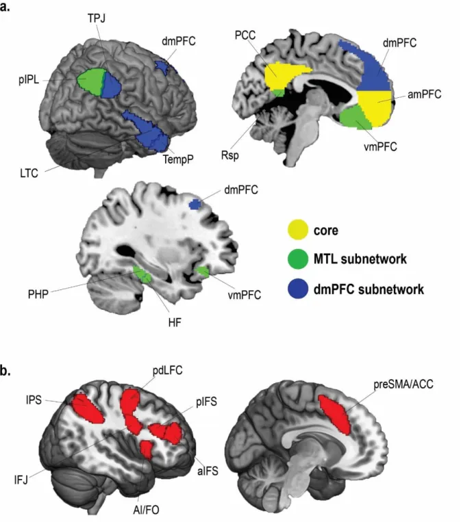 Figure 2.2. Regions of interest. a. DMN ROIs defined from networks 10, 15, 16 and 17 of the 17  network Yeo et al
