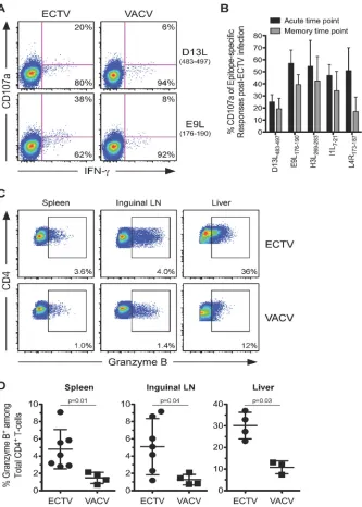 FIG 7 ECTV-speciﬁc TCD4� degranulate and express larger amounts of granzyme B during acute infection