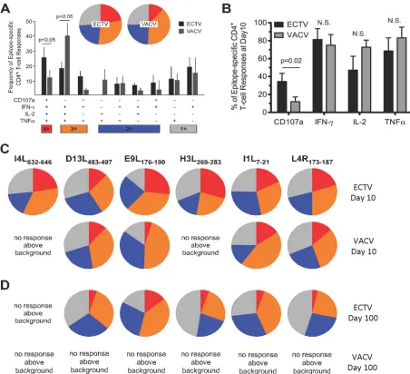 FIG 6 Comparative functional proﬁles of epitope-speciﬁc Tto the functional proﬁle are not shown due to space constraints