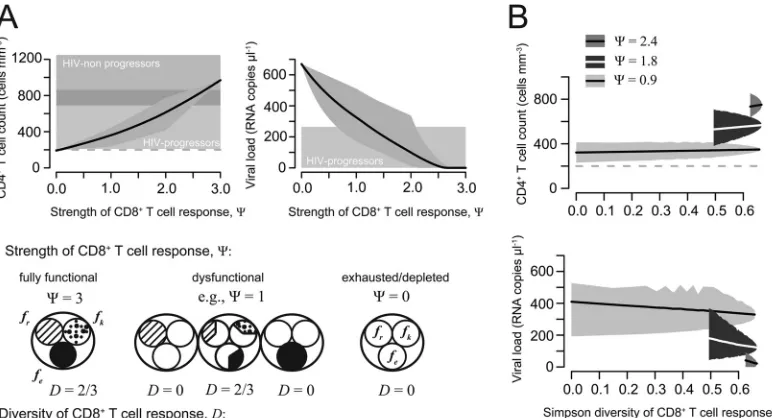 FIG 2 Strength and diversity of the CD8The gray-shaded areas indicate the minimum and maximum of all calculated values with the corresponding strength (horizontally shaded areas indicate the CD4plasma viral load