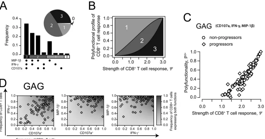 FIG 3 Strength and polyfunctionality of the CD8ffrequency of CD8of 0.62. (B) Relationship between the strength of the CD8theexpression under the assumption that the particular effector functions are expressed independently (of multifunctionality of single 