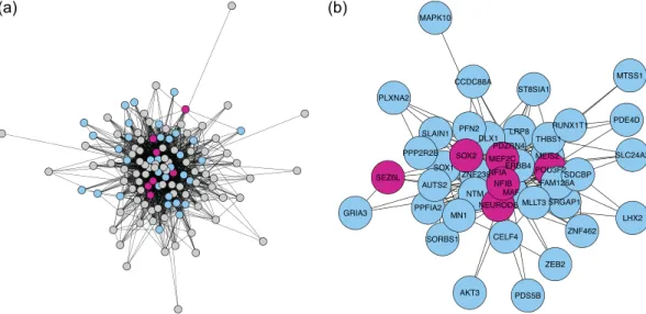 Figure 6.  Outer radial glia subnetwork detected in the neuro-developmental data. (a) Full subnetwork