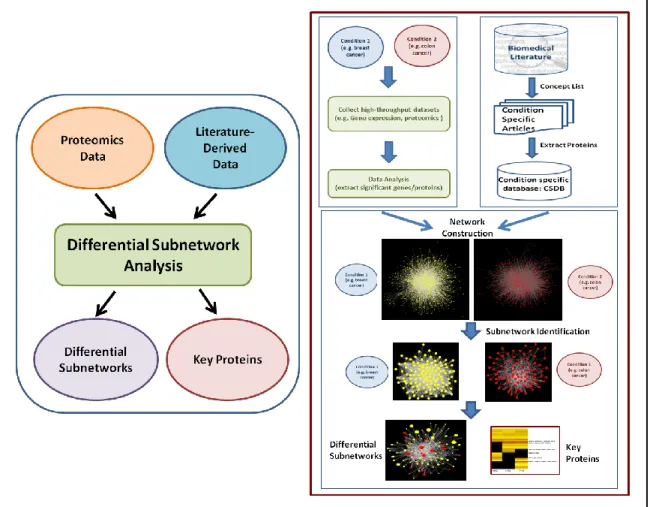 Figure 1. Overall methodology  Proteomics 