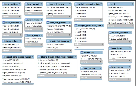 Figure 3. Condition-specific database (CSDB) schema 
