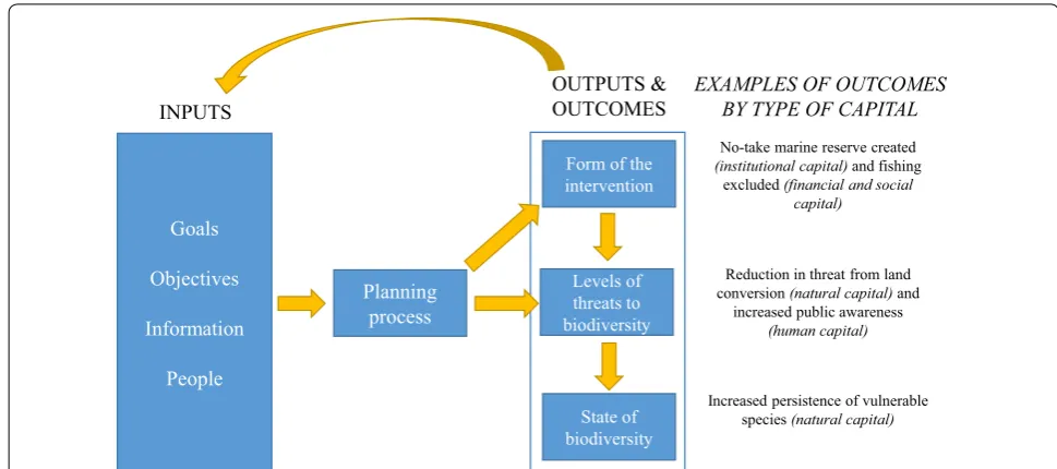 Fig. 2 A conceptual model for systematic conservation planning (reproduced from the protocol [illegal fishing
