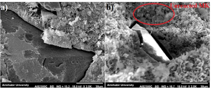 Figure 6.Figure 6. SEM images of: ( SEM images of: (aa) CO sample; and () CO sample; and (bb) MK30 sample.) MK30 sample