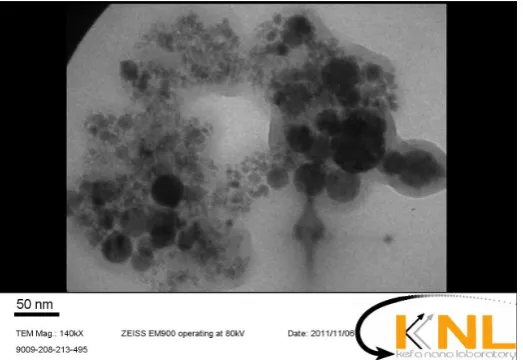 Figure 1.Figure 1. Nano-CuO particles of uniform distribution observed using transmission electron micrographs (TEM) (of size 50 nm)