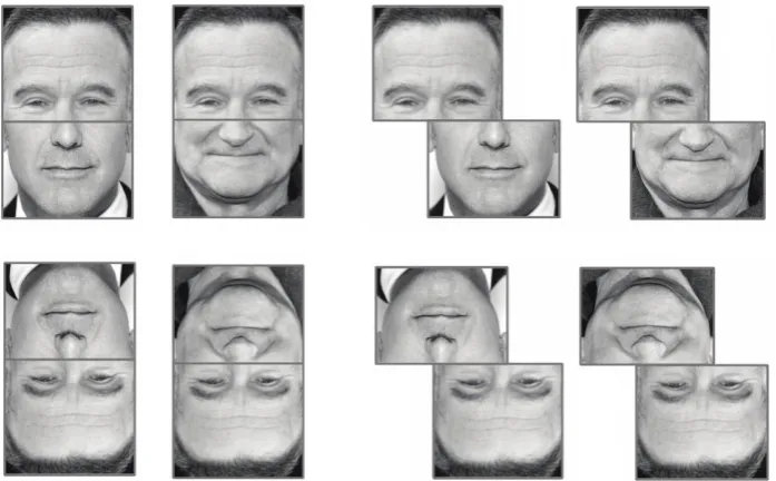 Figure 1: When aligned with different lower halves, it is surprisingly difficult to recognise that the upper regions of the two composites are identical (left top)