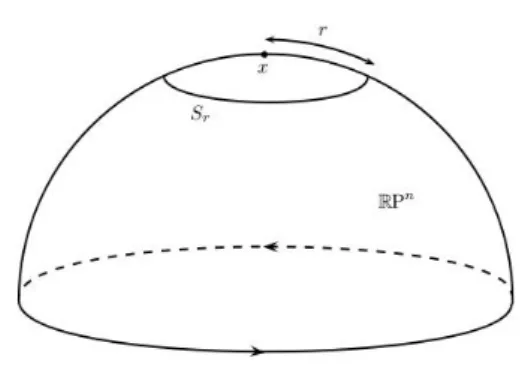 Figure 5.1: The equation x 2 1 + · · · + x 2 n = (tan r) 2 x 2 0 defines in RP n a metric sphere of radius r, i.e