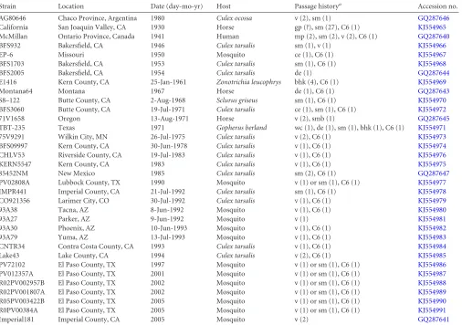 TABLE 1 Collection of WEEV sequences used for analysis