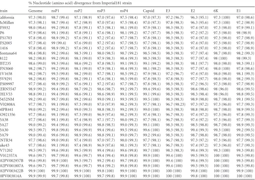 TABLE 2 Nucleotide and amino acid divergence of complete WEEV genome ORFs and individual genes compared to the Imperial181 strain